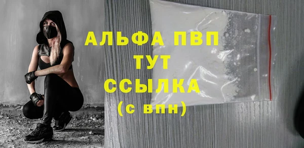 шишки Ельня