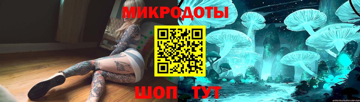 Псилоцибиновые грибы GOLDEN TEACHER  Вход с VPN  Псилоцибиновые грибы прущие грибы  Вологда 