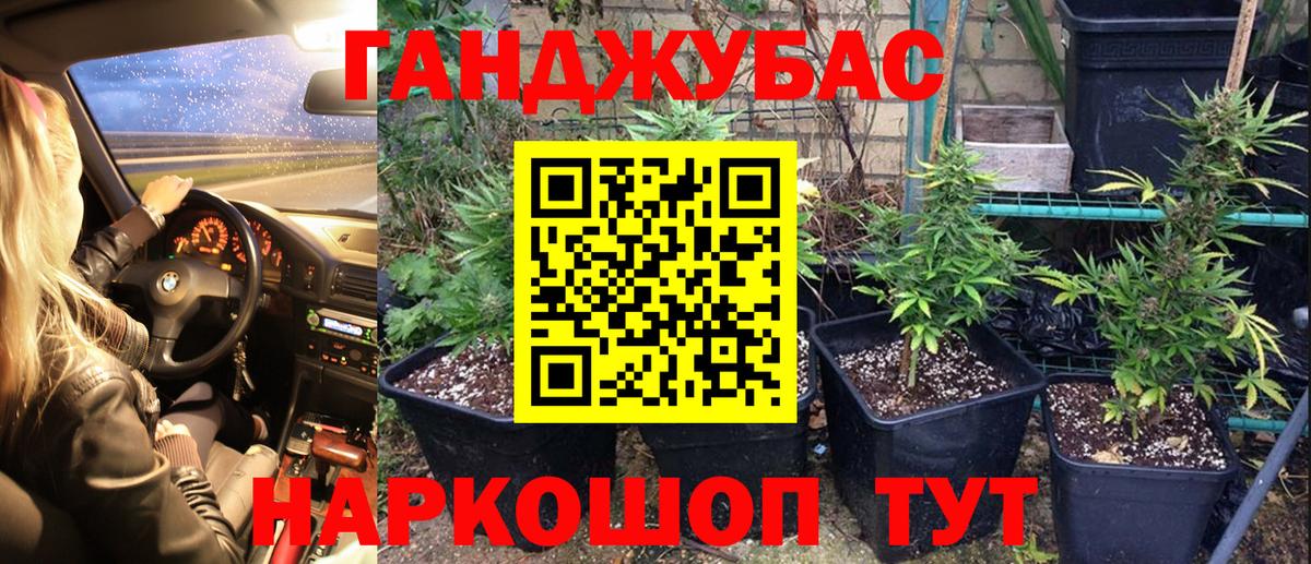 Вологда  Каннабис OG Kush  Вход с VPN  Марихуана сатива  Канабис Ganja 